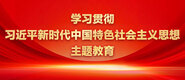啊啊啊啊啊啊不要插进去网站在线观看量学习贯彻习近平新时代中国特色社会主义思想主题教育_fororder_ad-371X160(2)